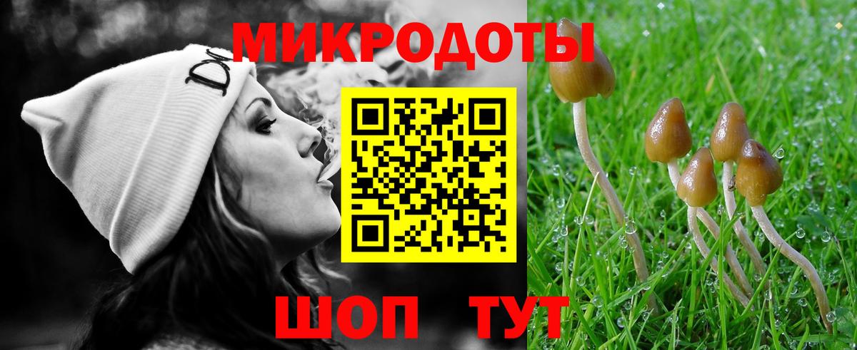 Галлюциногенные грибы Psilocybine cubensis  Вход с VPN  хочу   Псилоцибиновые грибы прущие грибы  Надым 